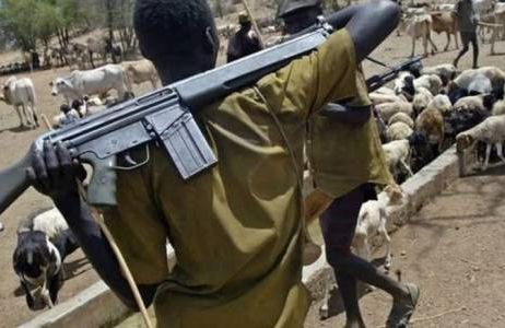 Cerca de 6.000 cristãos nigerianos foram mortos desde 2015 por militantes do Boko Haram e pastores Fulani.