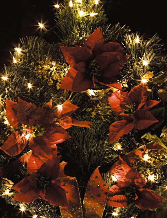Natal1