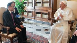 Papa recebe delegação do Partido Comunista do Vietnã 1 Foto: Vatican news