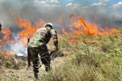 Bispos colombianos convocam dia de oração diante dos incêndios florestais 1 Foto: Fedemaderas