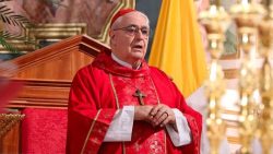 Perguntas sobre o desaparecimento do Cardeal Lacunza 1 Foto: Vatican news