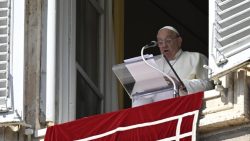 Papa Francisco anuncia 21 novos cardeais 1 Foto: Vatican news/Media