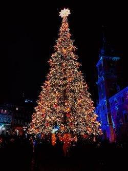 Origem da árvore de Natal 1 Foto: Arkadiusz Radek/ Unsplash