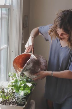 Exagero na hora de regar? 1 Foto: Cassidy Phillips/ Unsplash